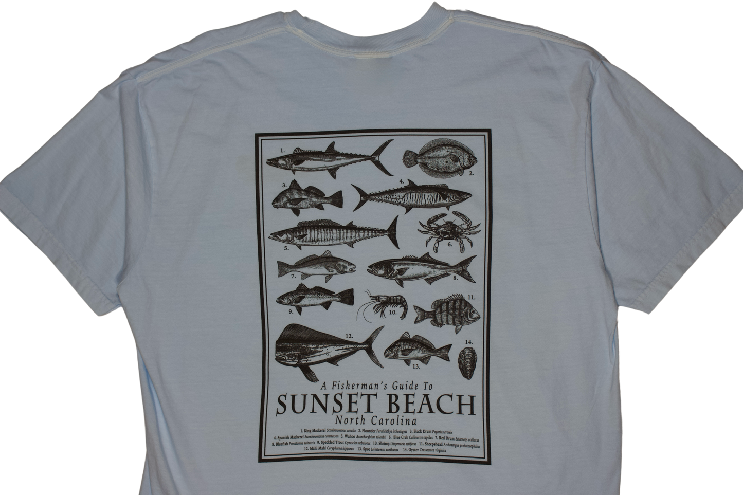 Daves Outpost Fish Guide T-Shirt