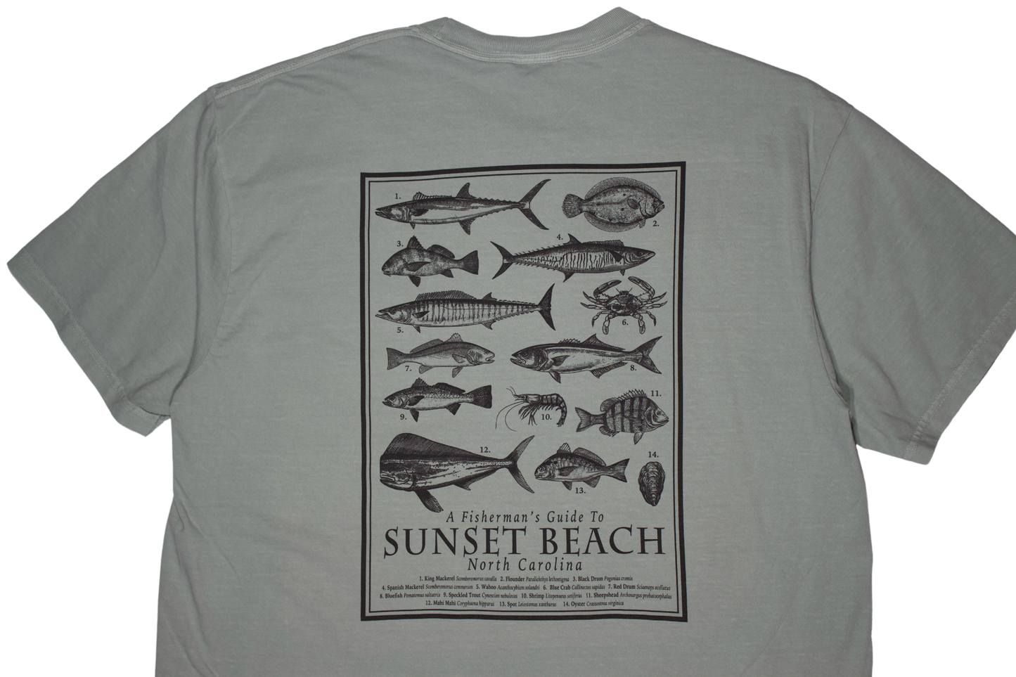 Daves Outpost Fish Guide T-Shirt